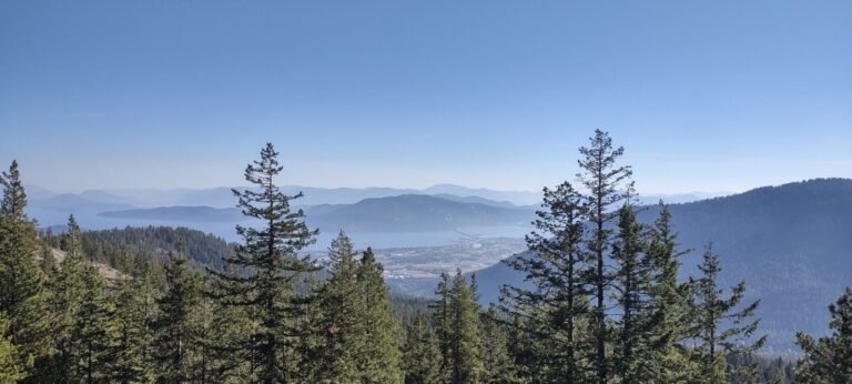 brain energy and stress response