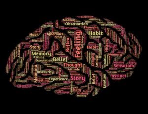 Focused nervous system support in Sandpoint Idaho