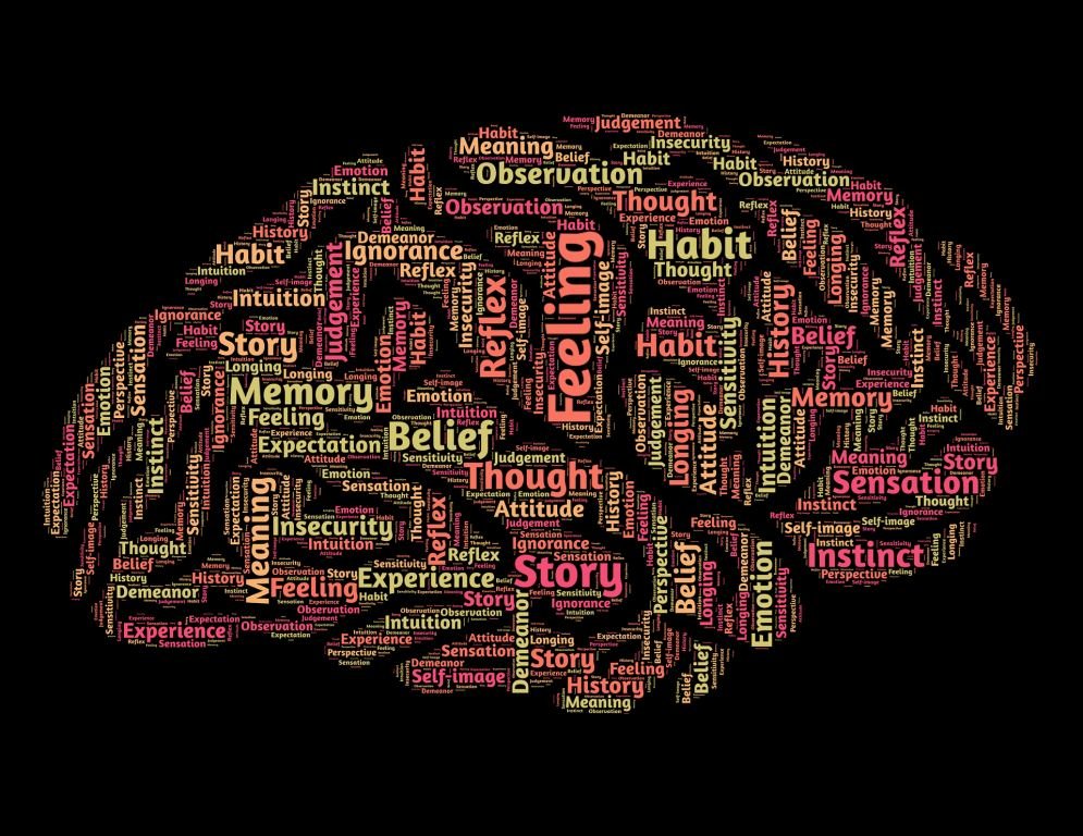 Focused nervous system support in Sandpoint Idaho
