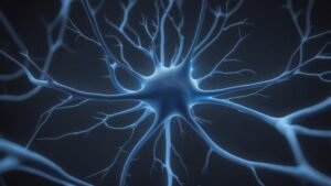 illustration of neuroplasticity