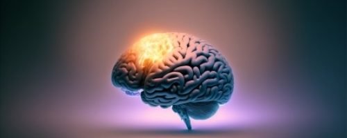 brain optimization and cognitive performance